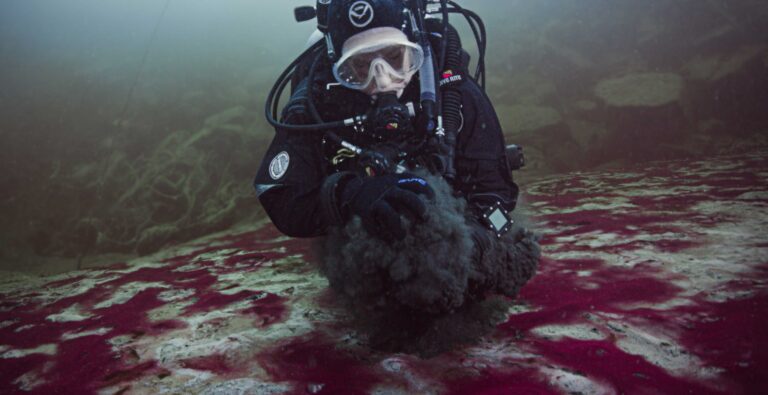 A scuba diver wearing a black wetsuit floats close to the bottom of the alien-looking red-and-white bottom.