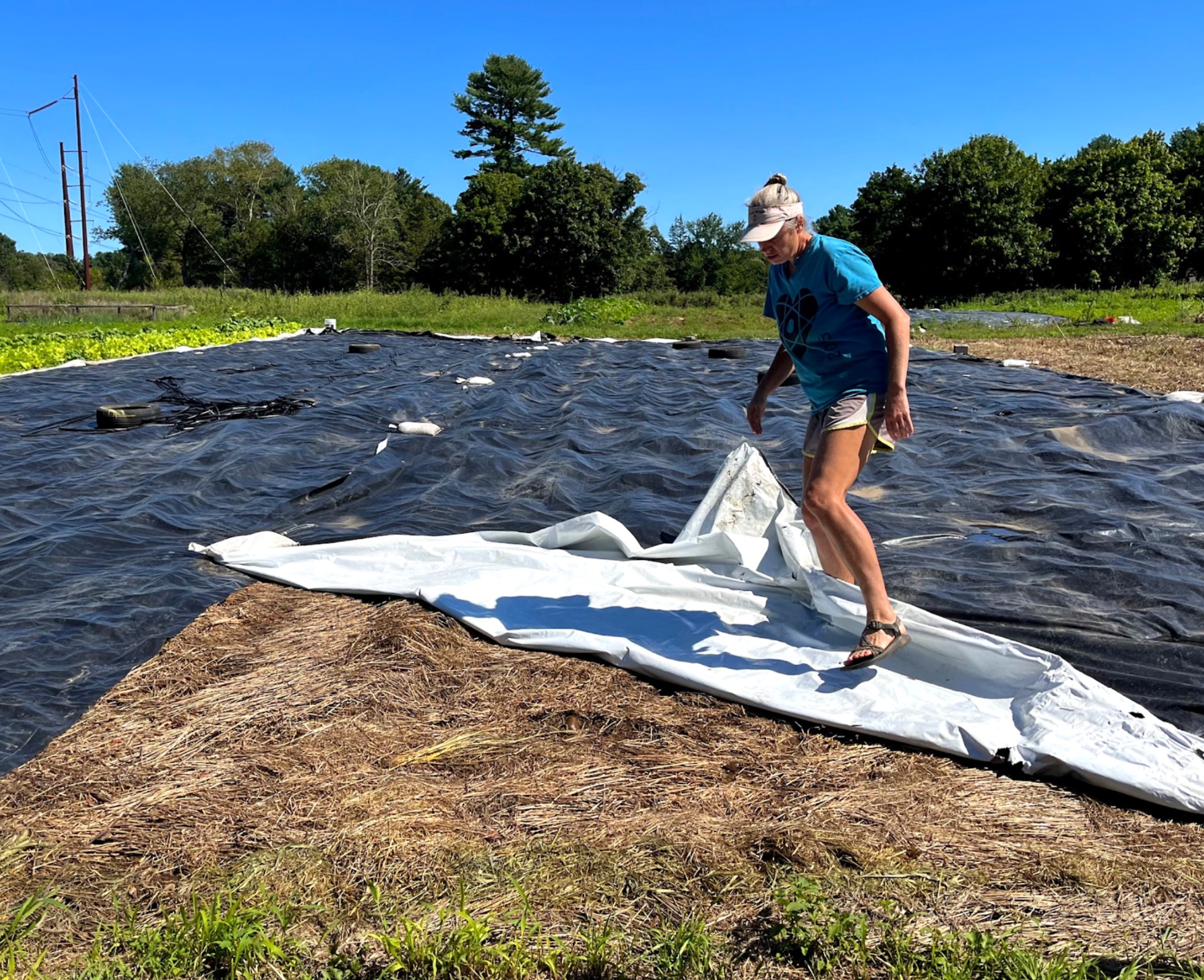 A woman steps over a large tarp covering crop land at a small farm. 