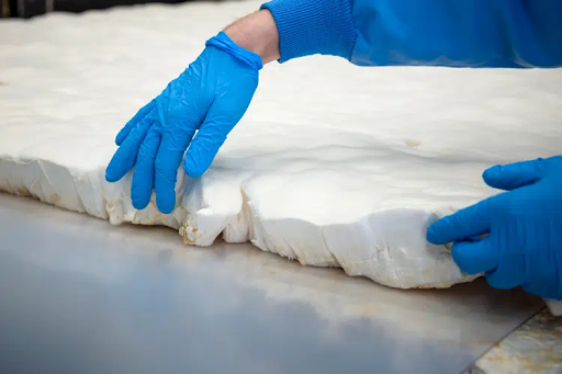 A person with blue gloves touches a sheet of white, foam-like mycelium