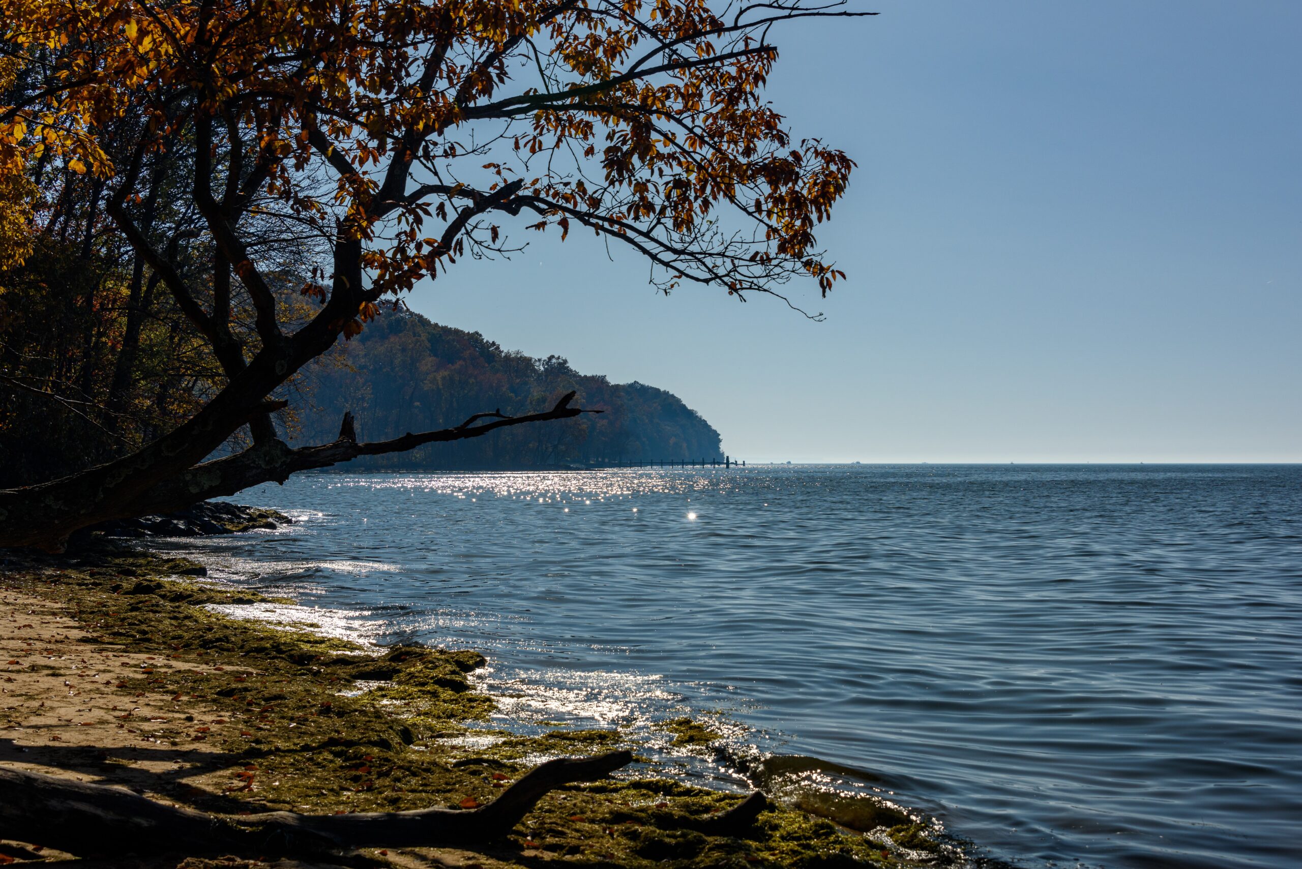 A view of the Chesapeake Bay near Northeast, Maryland.