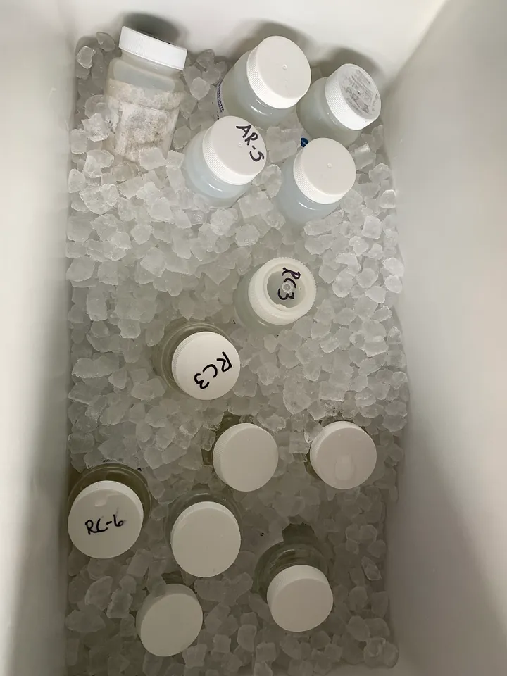 13 small bottles of water samples in a cooler filled with ice