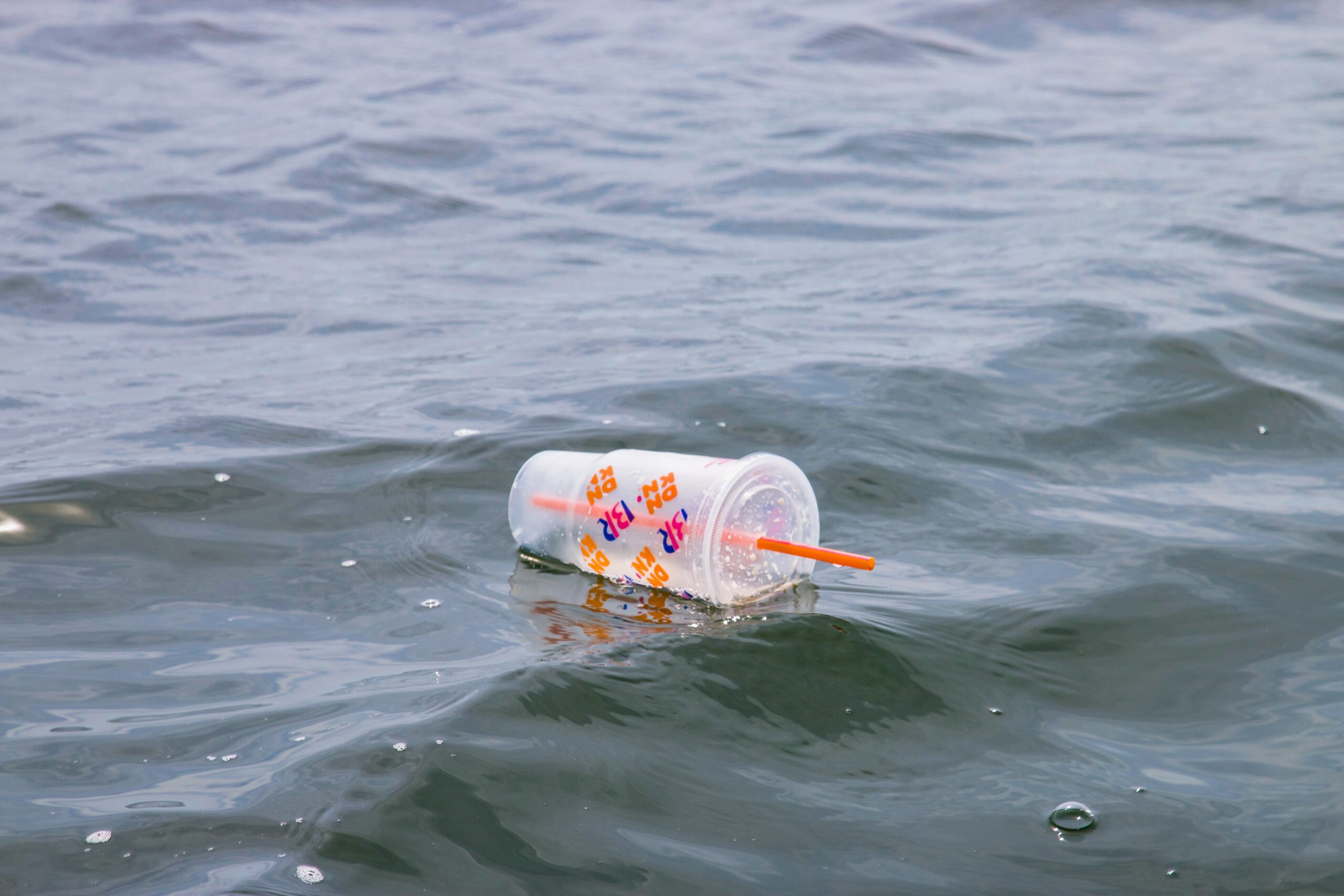 The last straw: Northwestern University students weigh in on consumer plastic pollution