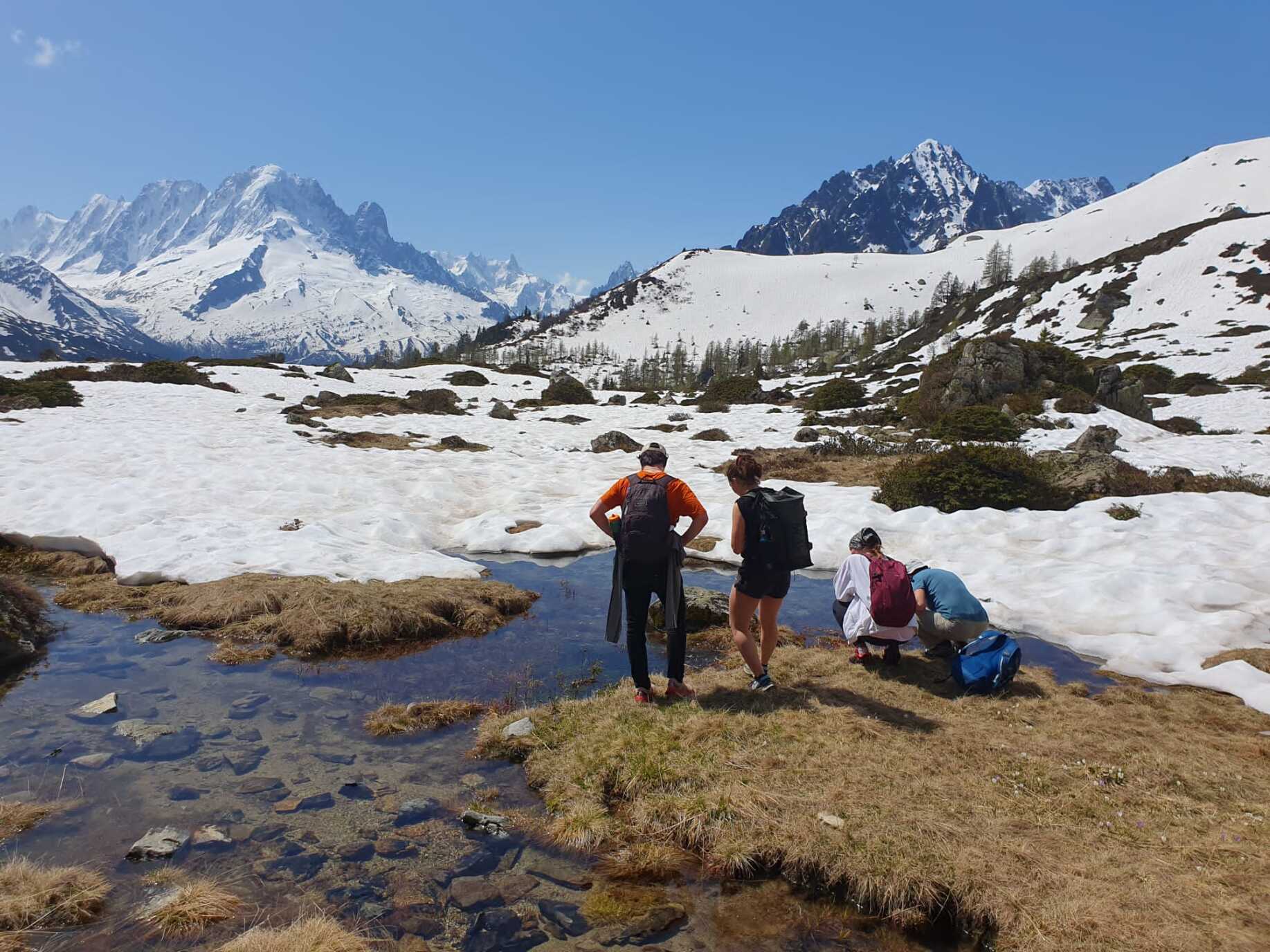 A small organization in the Alps engages citizens in scientific programs