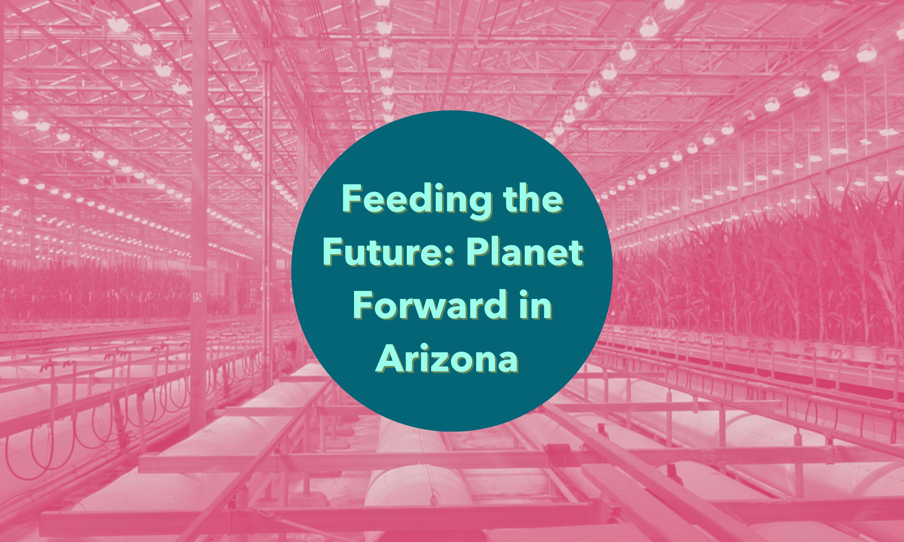 Feeding the Future: Planet Forward in Arizona