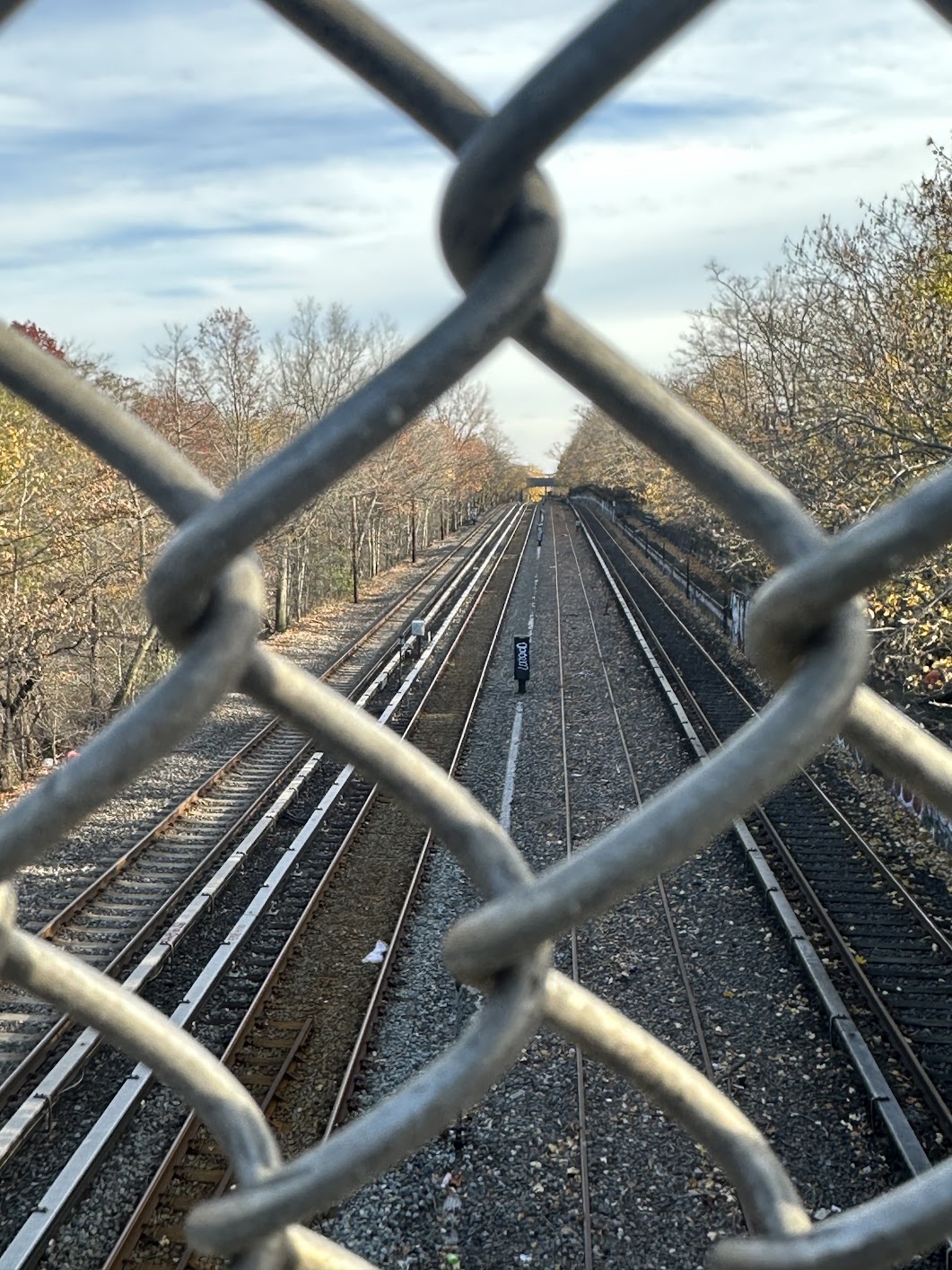 The Interborough Express tracks alongside the N-train route.