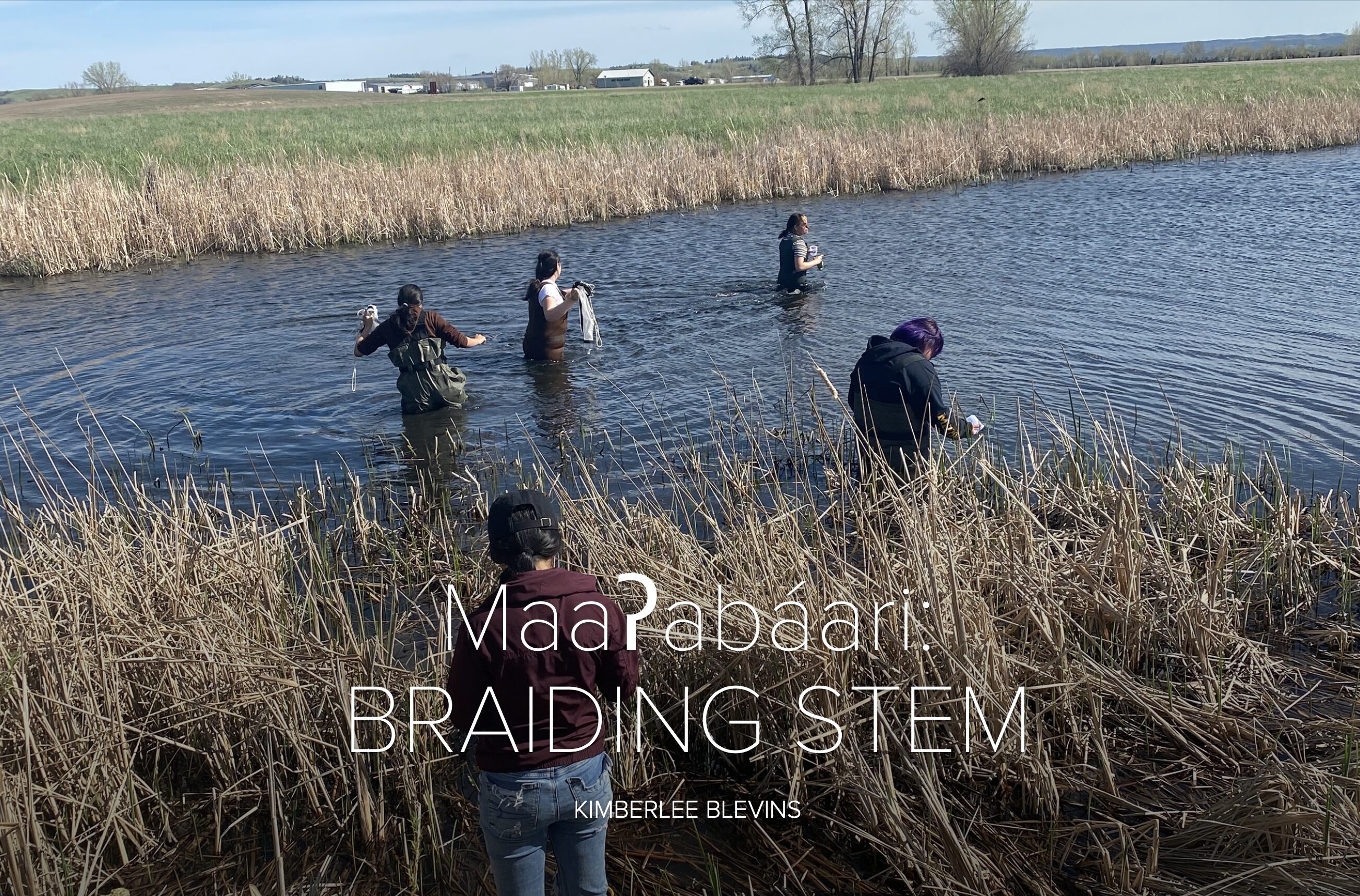 A title card for "Braiding STEM" featuring researchers wading in a stream. 