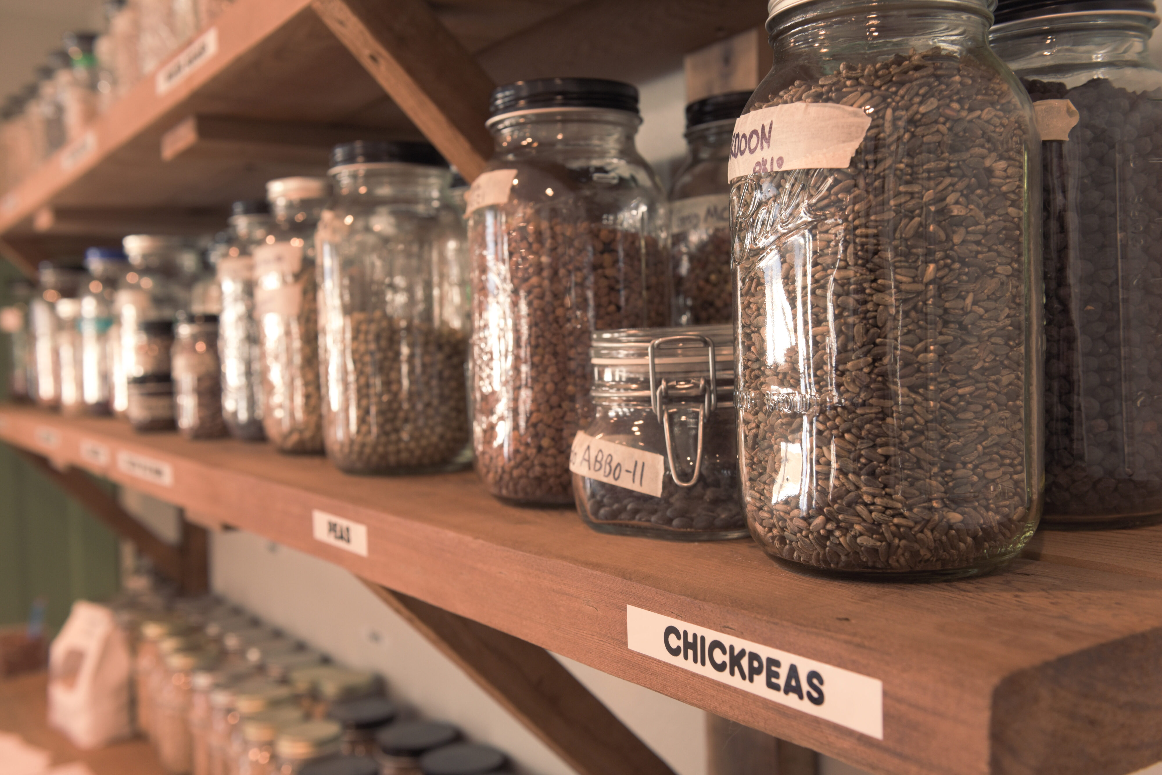 A row of mason jars filled with seeds, collected as a result of the seed saving practices of MASA. 