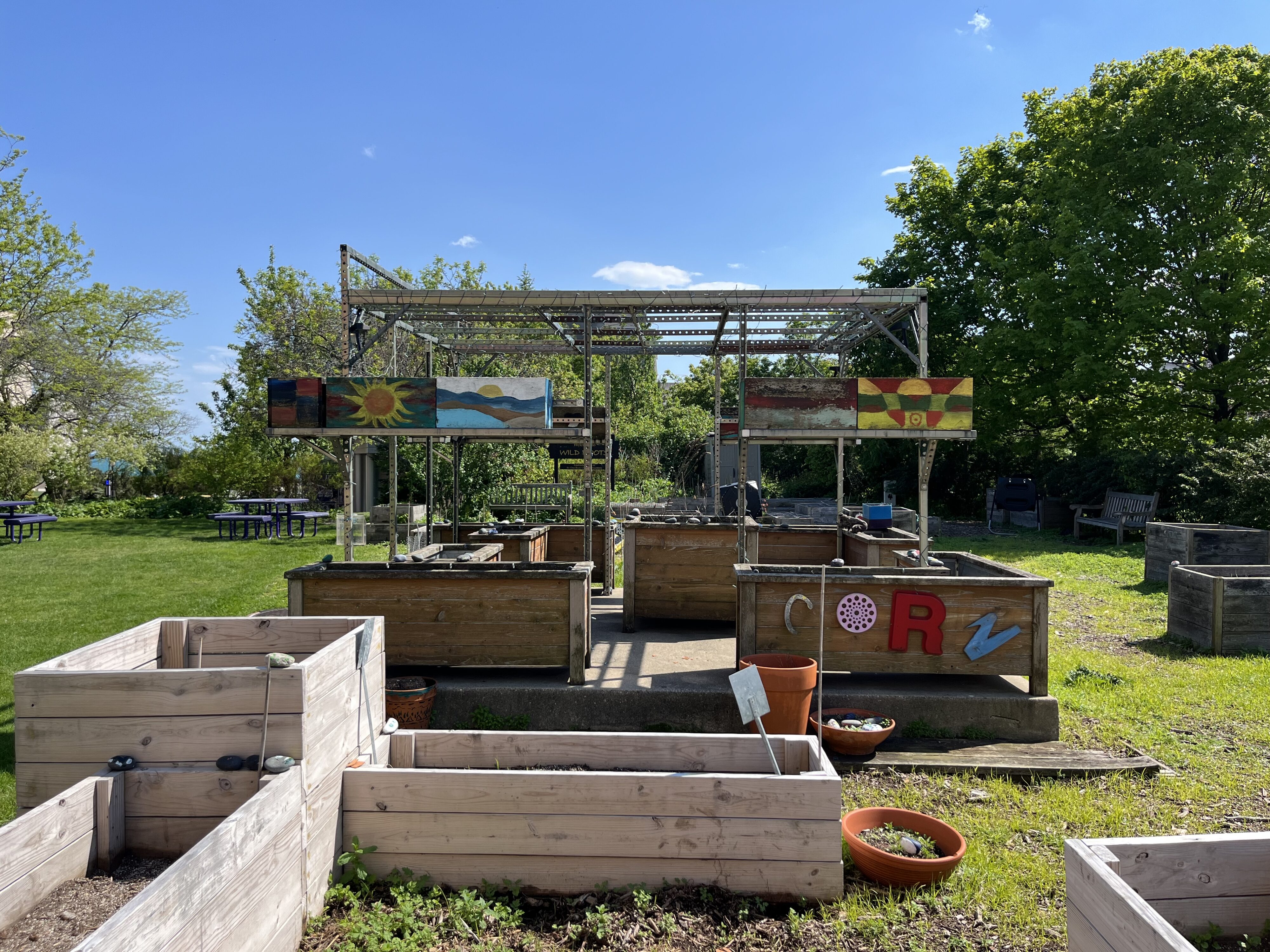 Wooden structures and raised beds on the grass in the Wild Roots garden, lit by a blue sky and sunshine. 