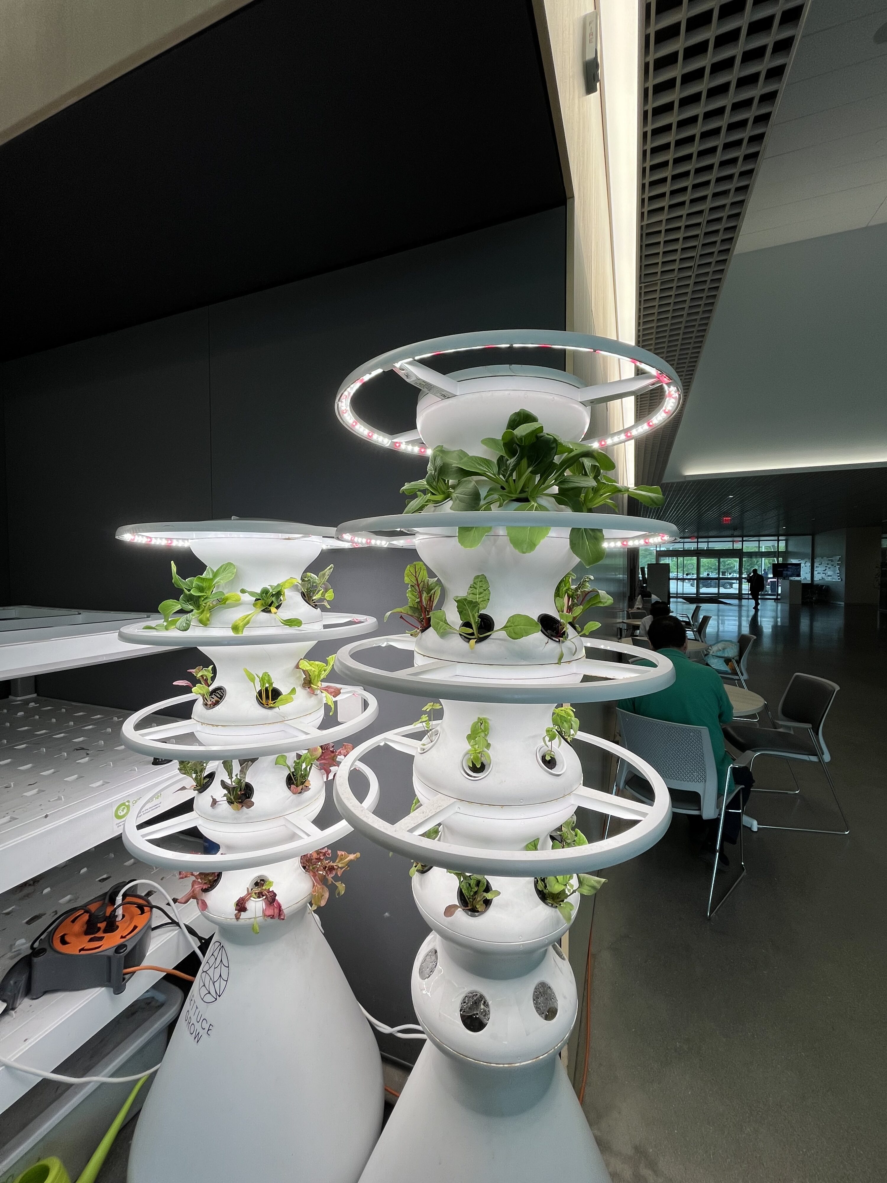 Two large white hydroponic structures with plants growing on them on display to patrons at the Evanston Public Library Robert Crown branch.