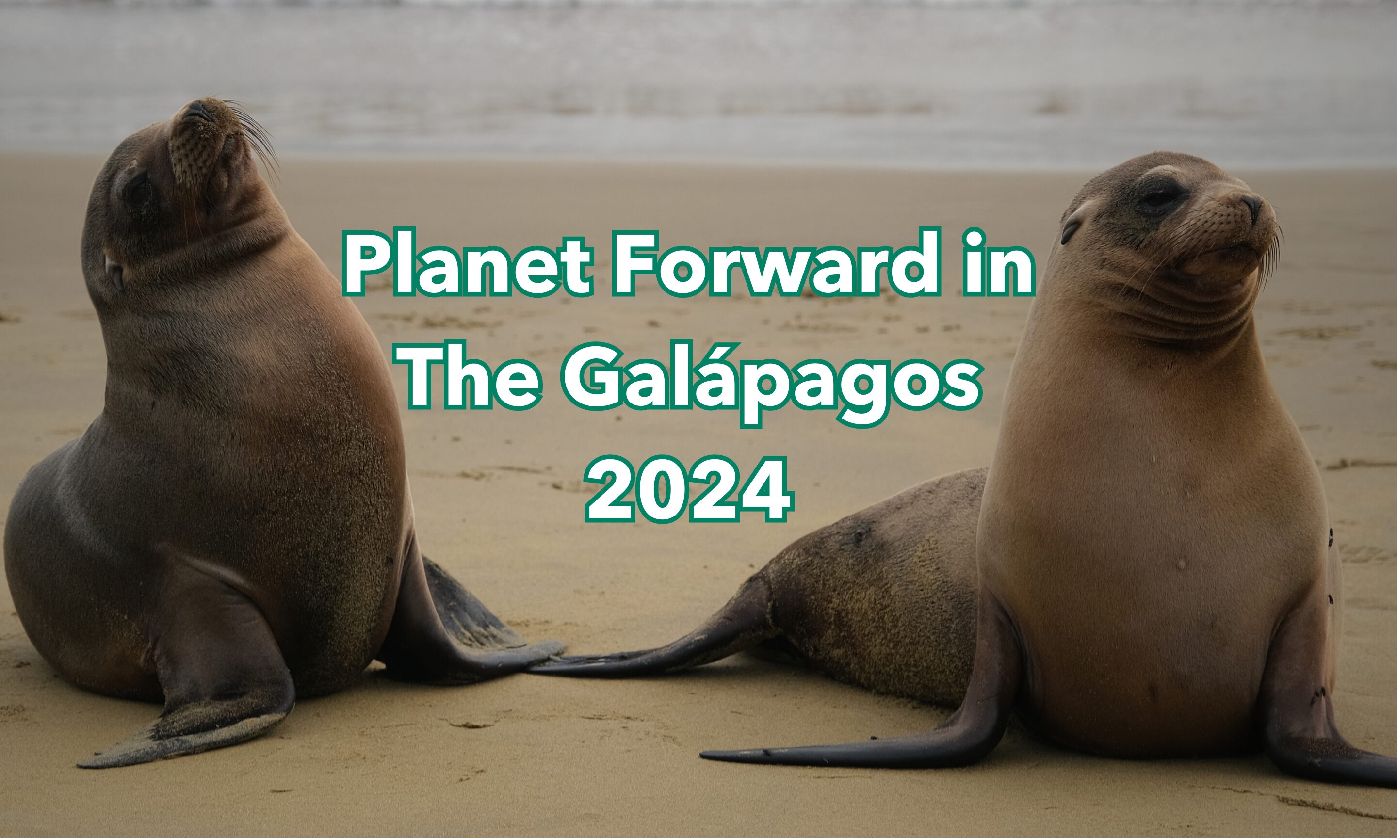 Planet Forward in the Galápagos 2024