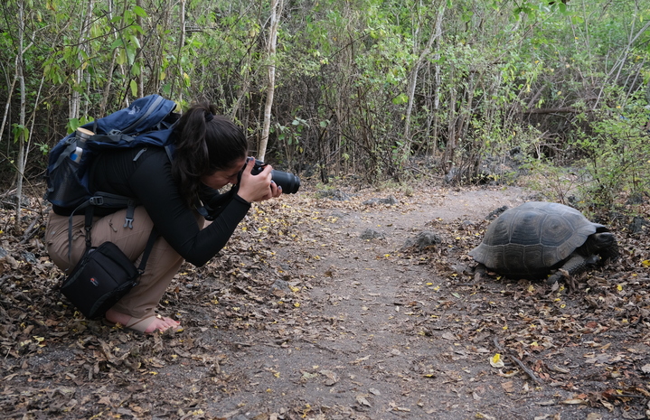 A woman crouching down with a camera, taking a photo of a tortoise along a trail.