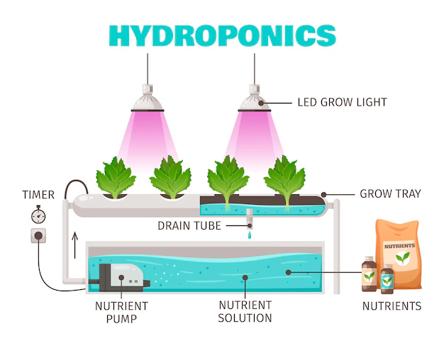 A diagram explains the cyclical structure of a hydroponic system, showing how the LED grow lights and nutrients help grow plants.