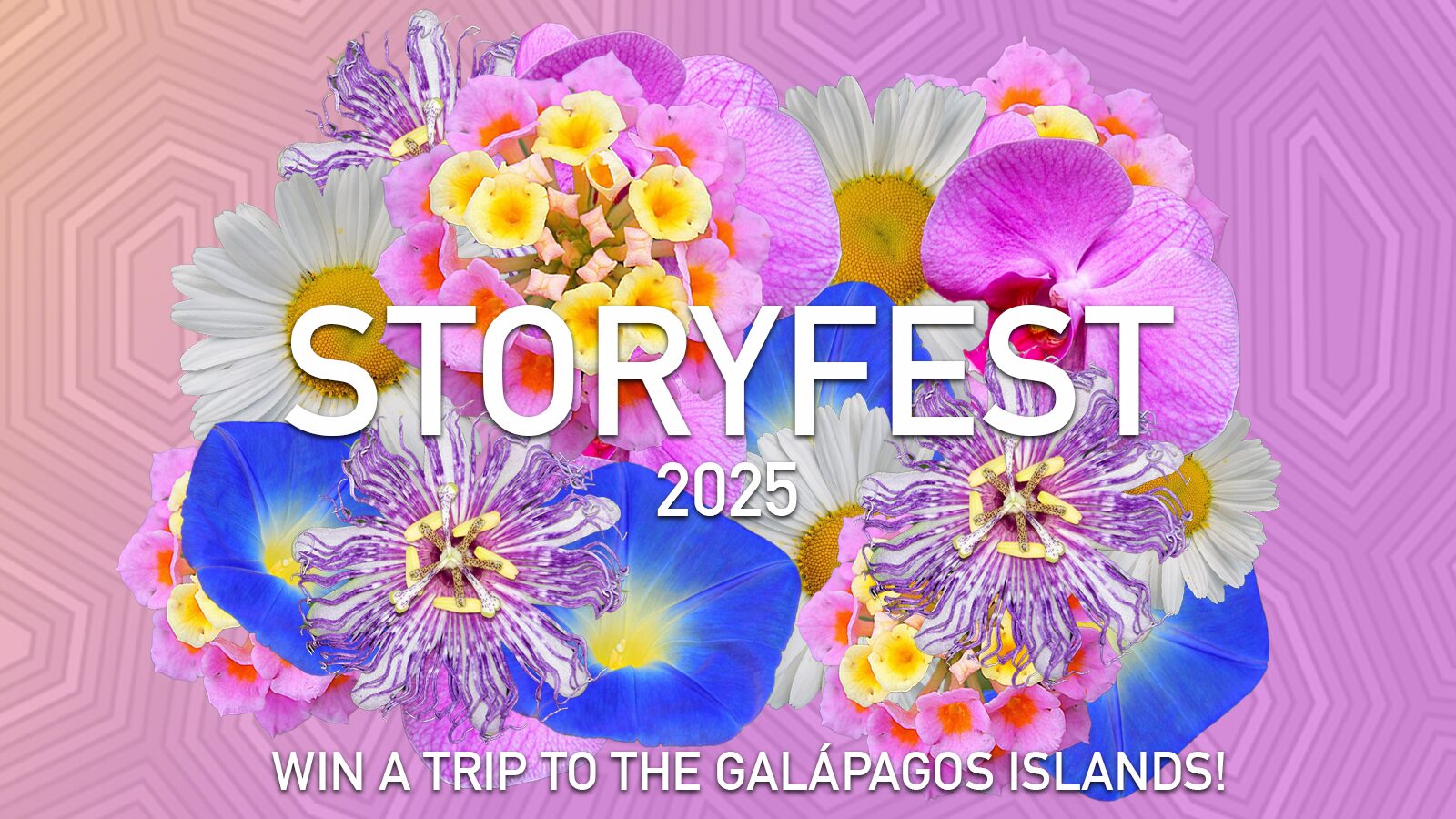 Storyfest: Tell an inspiring story to move the Planet Forward