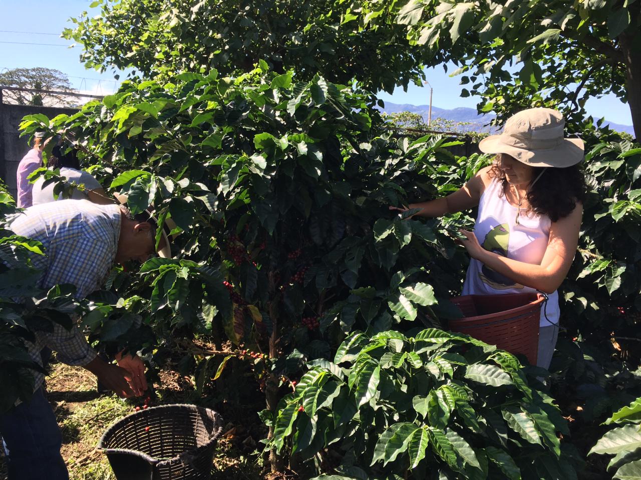 My uncle and I collect coffee during one of our family gatherings. 