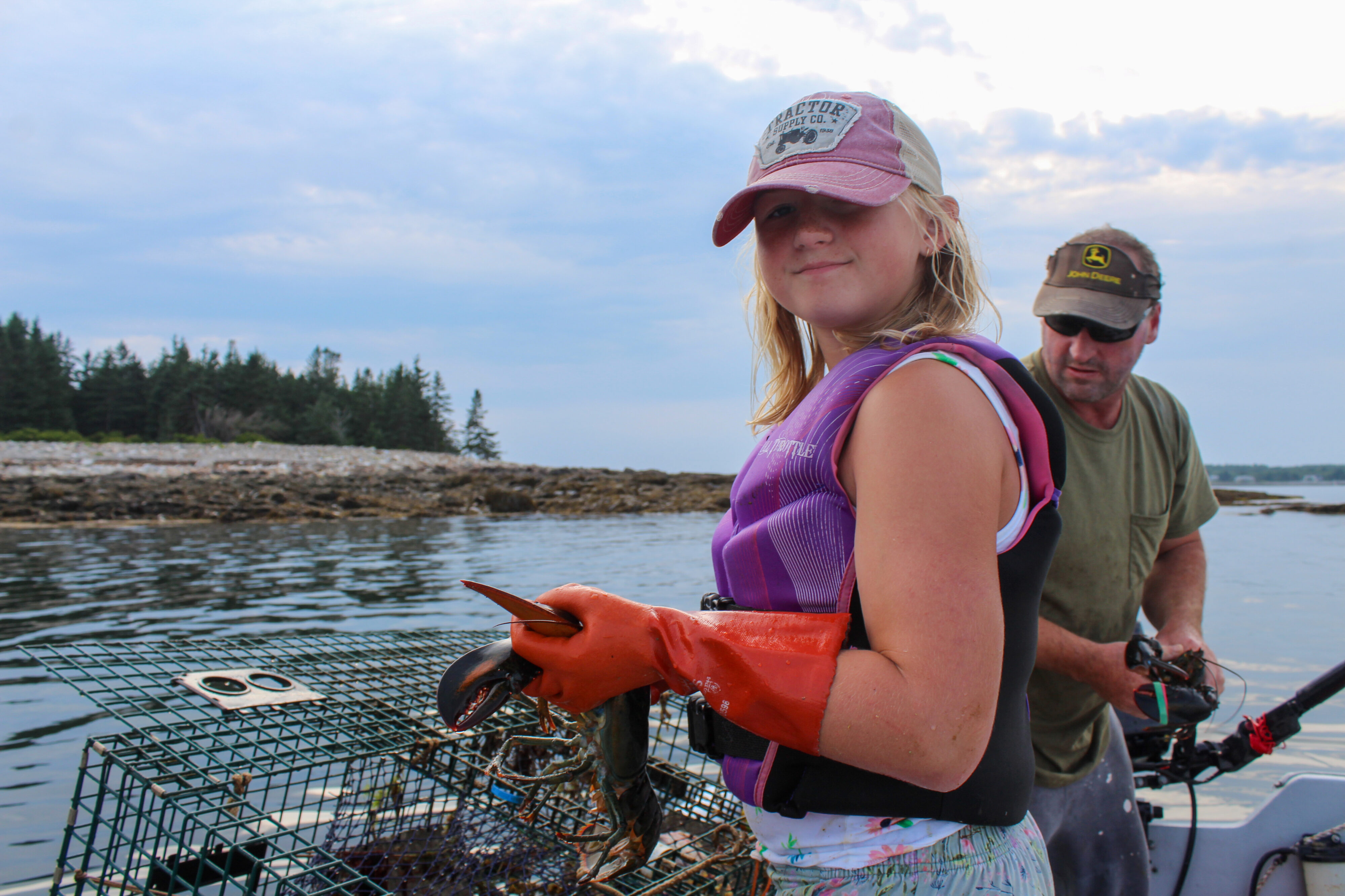 Cutting through the fog: The future of lobsters in the warming Gulf of Maine