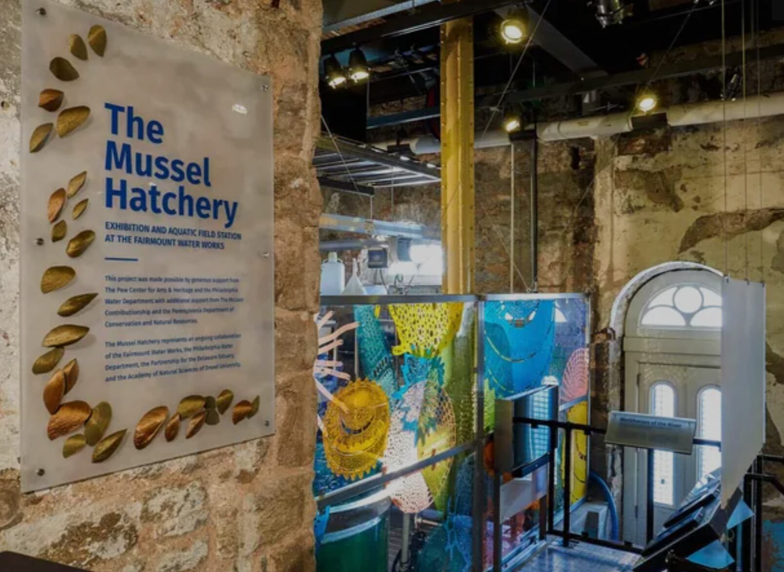 The Freshwater Mussel Hatchery and Living Laboratory Exhibition, a project by Habithèque Inc.