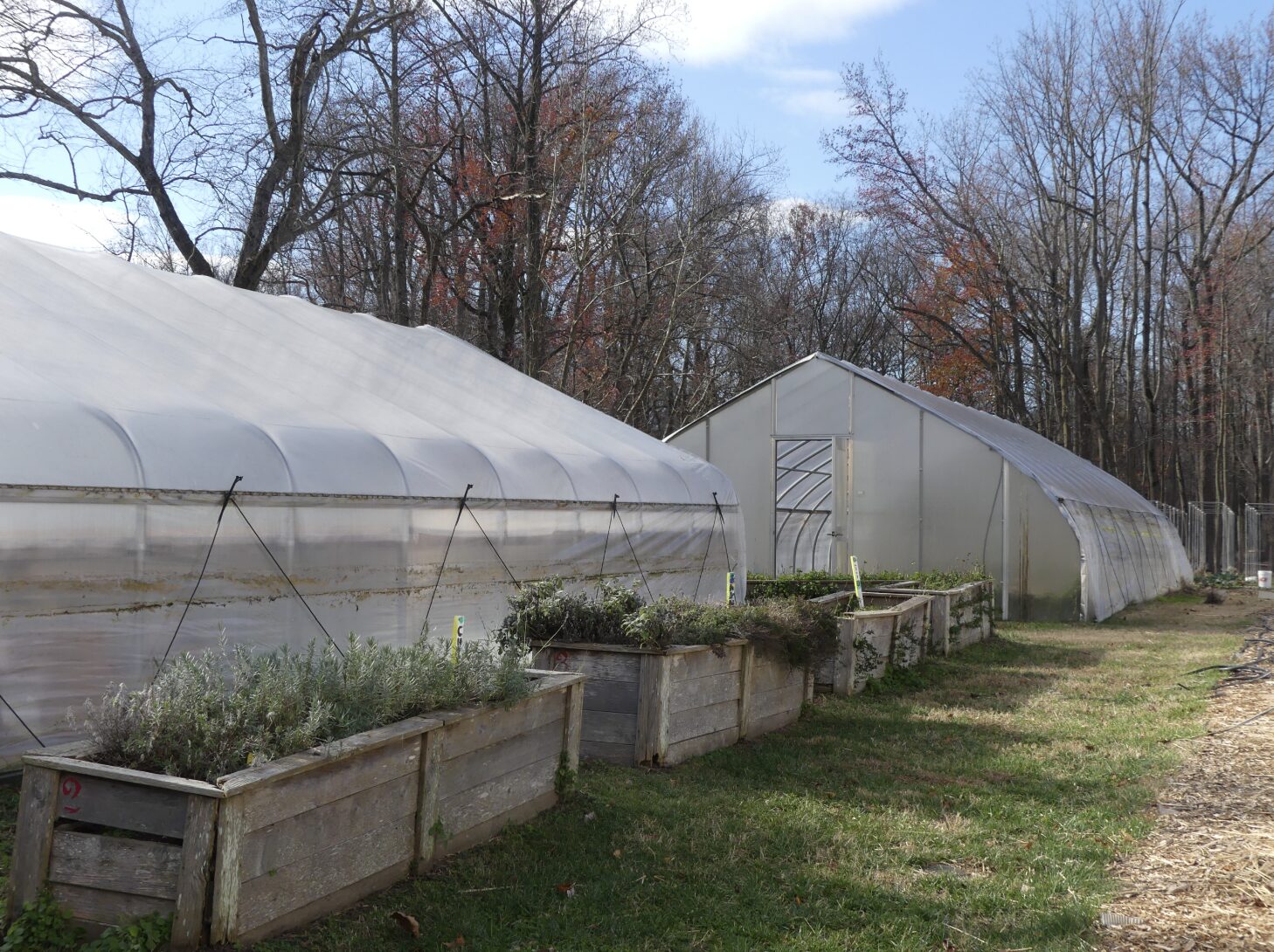 Harvesting hope: How THEARC Farm nourishes D.C.’s Ward 8 with free crops and community care