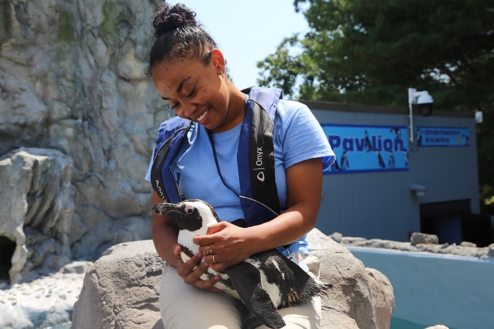 A woman, in a blue shirt and wearing a compact style life jacket, smiles as she holds an African penguin while sitting on a rock.