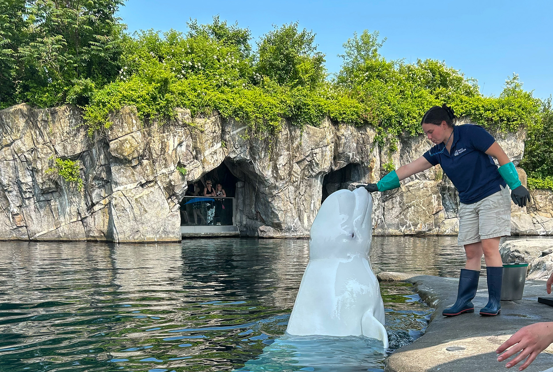 The ‘Blackfish’ effect: Destigmatizing modern aquaria