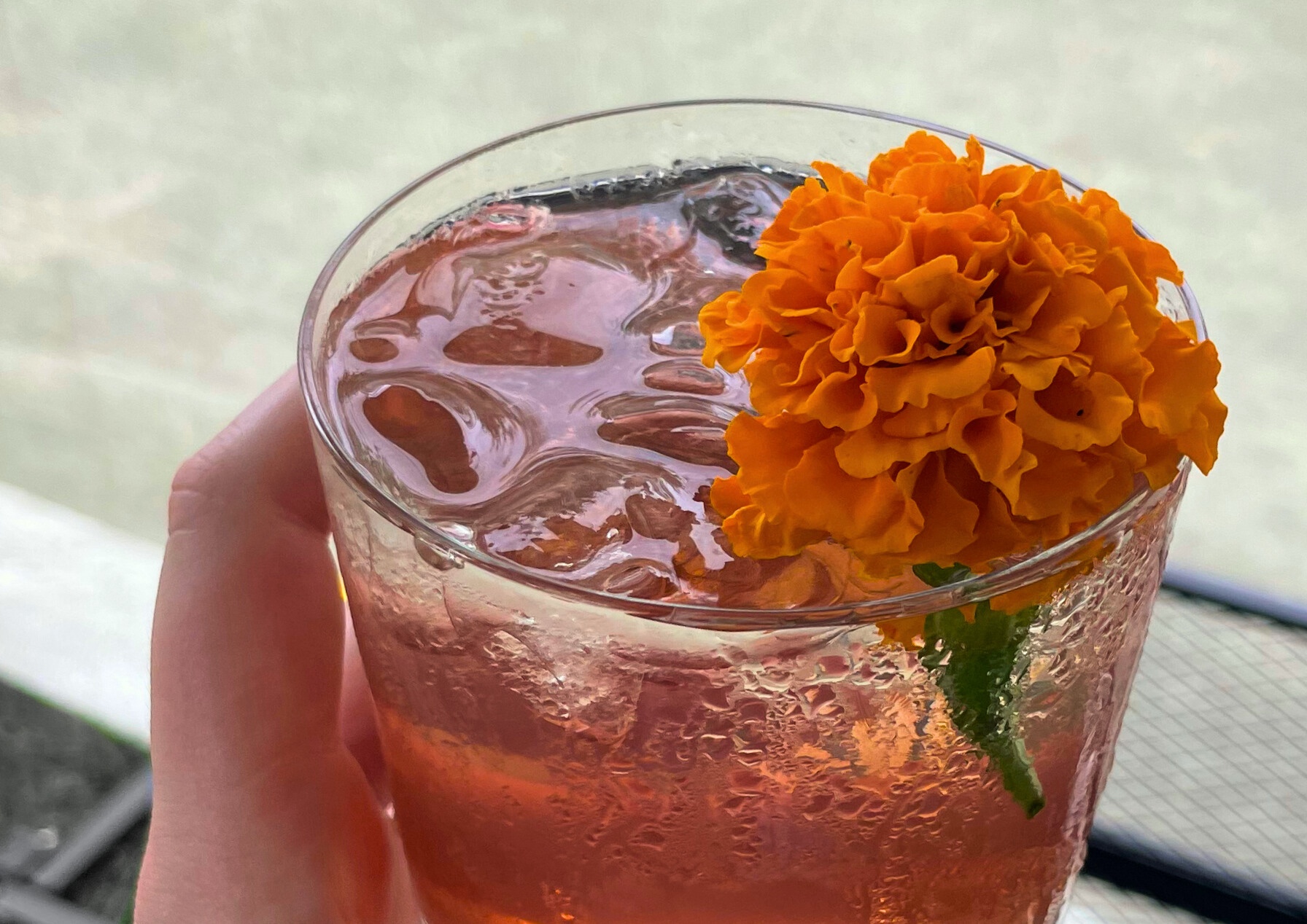 A marigold mocktail backstage at the Smithsonian Folklife Festival by Chloe Levine, George Washington University. 