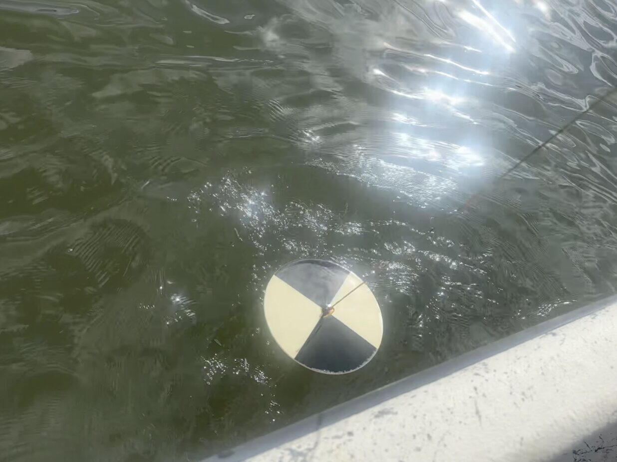 A Secchi disk descends into water.