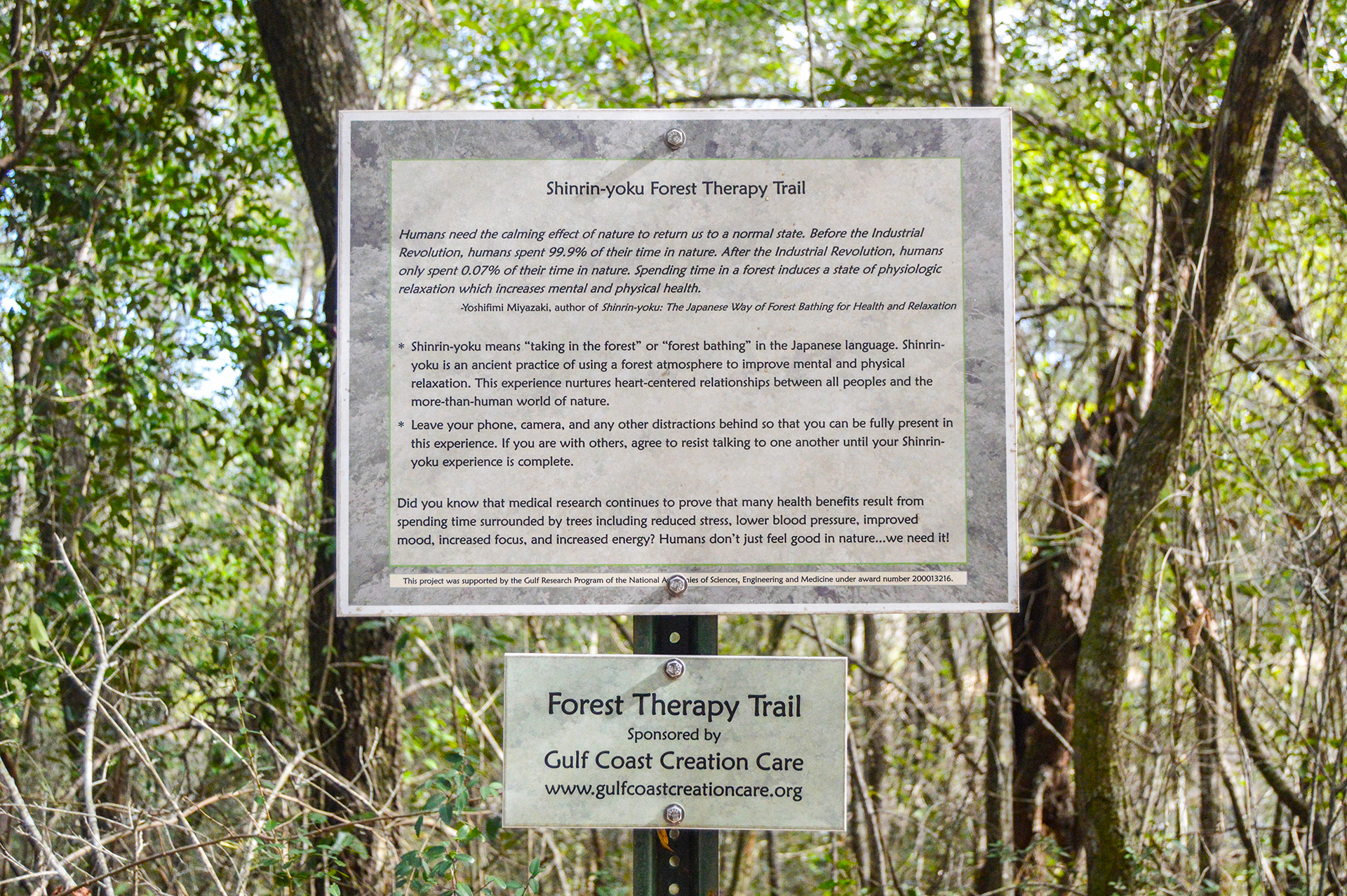 A sign in a forest for the Shinrin-yoku Forest Therapy Trail.