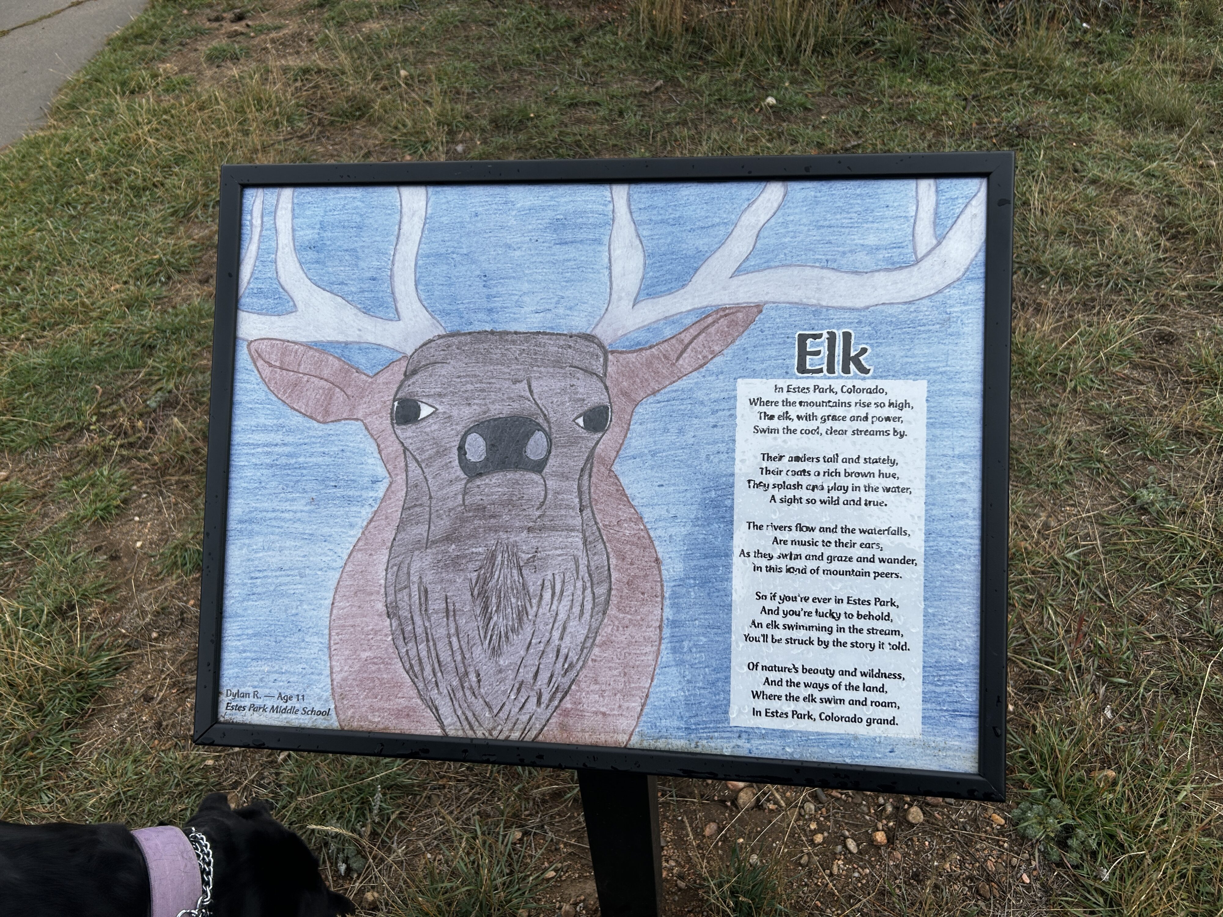 Illustrated elk on a sign.