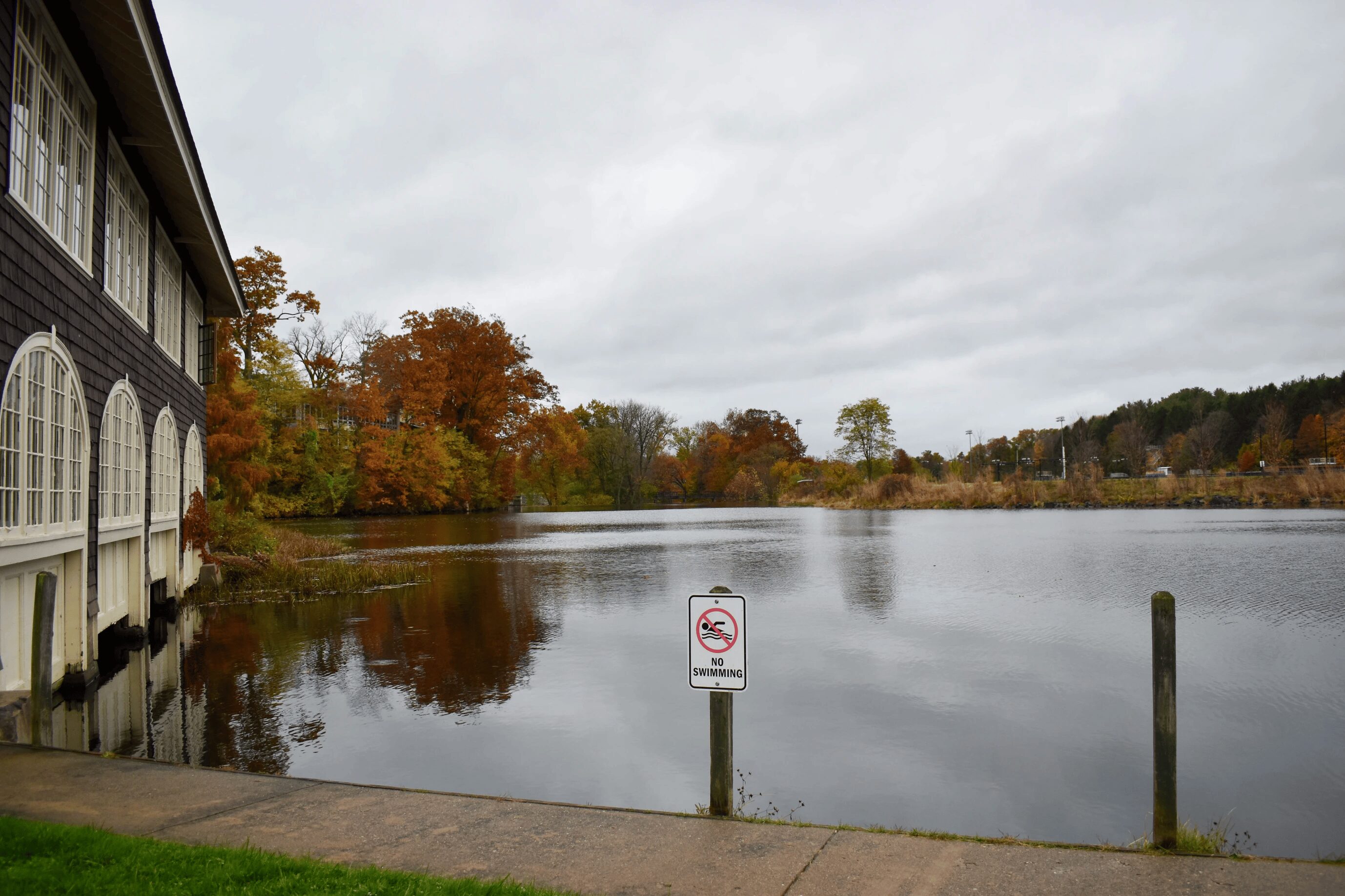 A pond on a cloudy day.