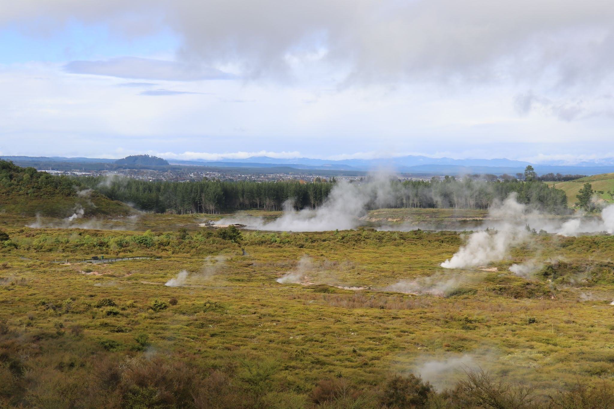 Steam comes out of geothermal craters in a field in New Zealand. 