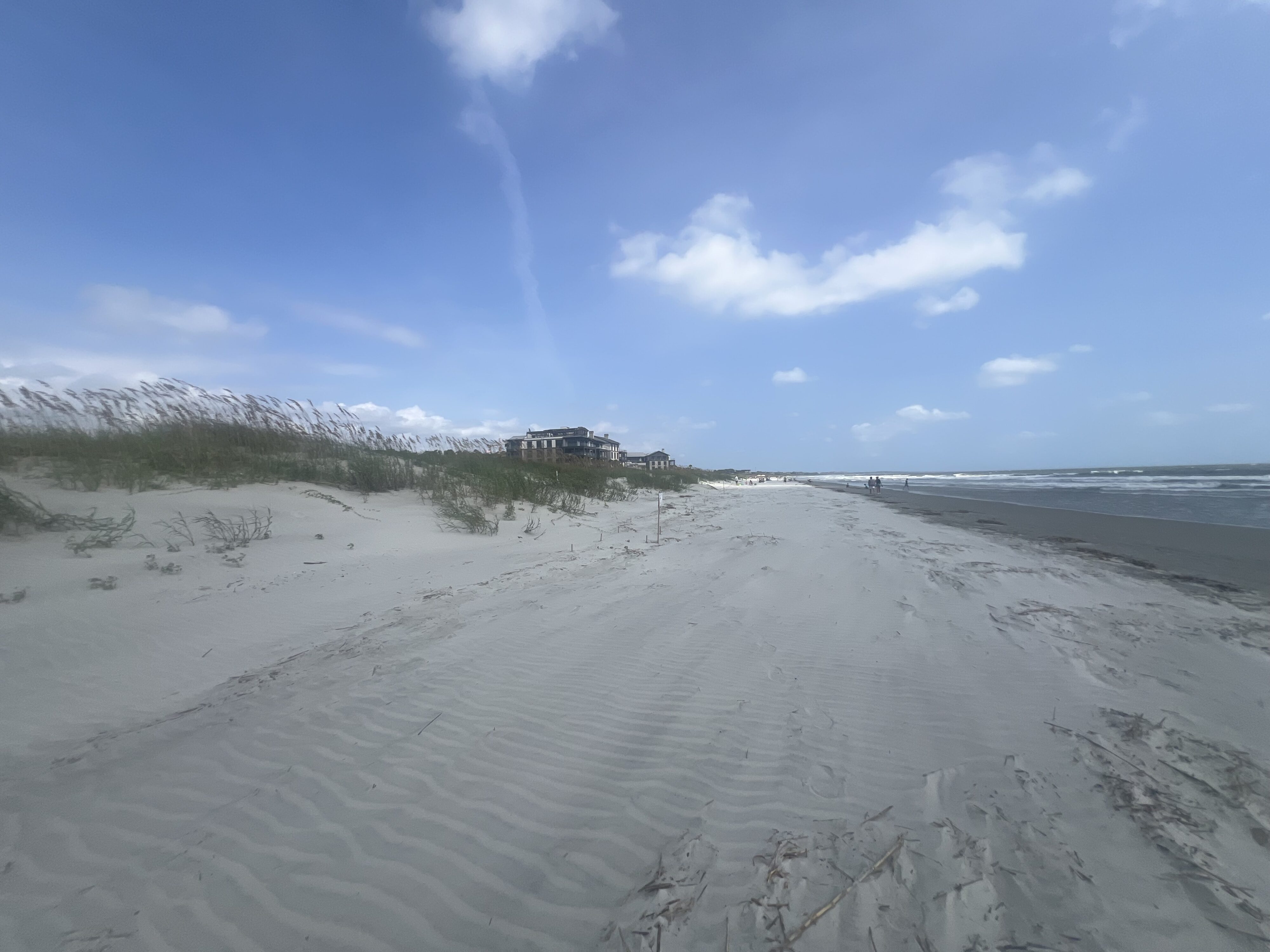 Wide shot of a beach, featuring dunes on the left and the ocean to the right at low tide. A blue sky and white puffy clouds fill the top half of the picture.