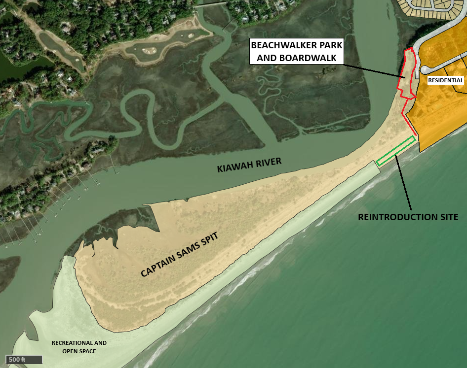 Map showing the planned planting site for the amaranth.
