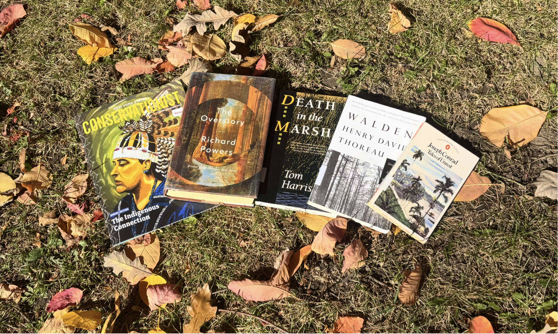 Essay | Positioning the human: Anthropocentrism in writing