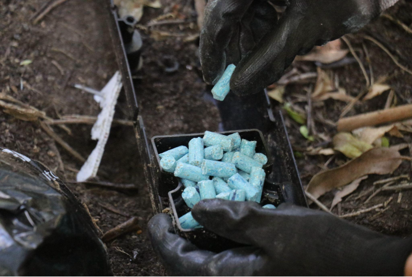 Anticoagulant rat poison is placed inside of a trap.