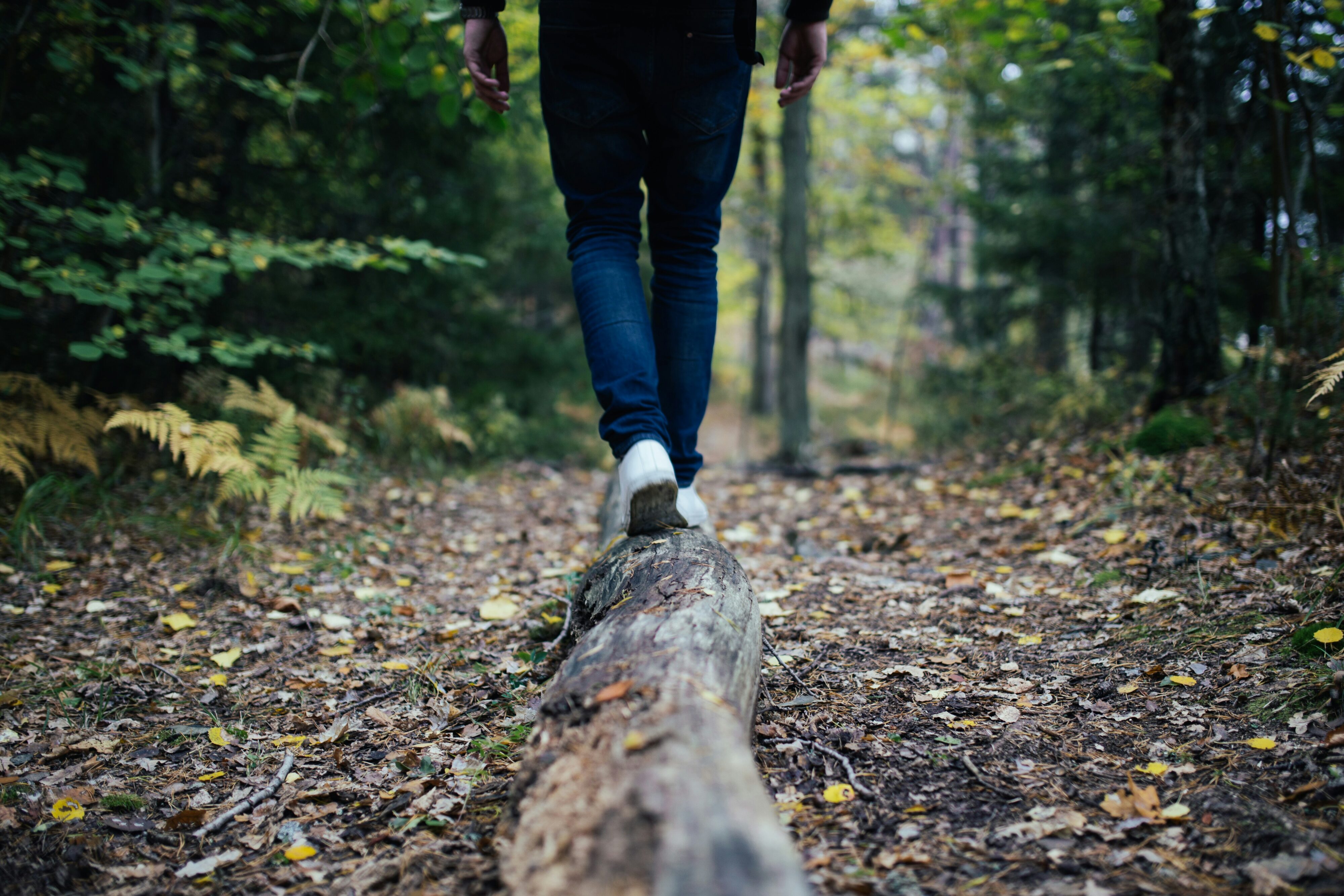 A person in a forest walks on a log away from the camera.